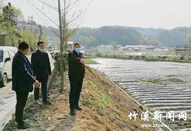 QQ截图20200409084325