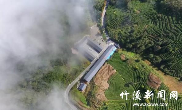 360截图20200501120259549