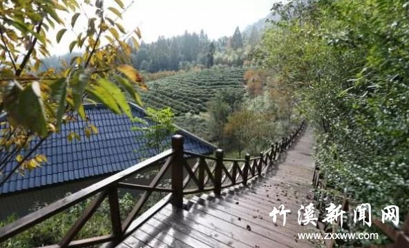 360截图20200501120321932