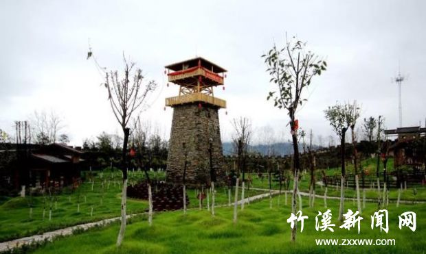 360截图20200501160445666