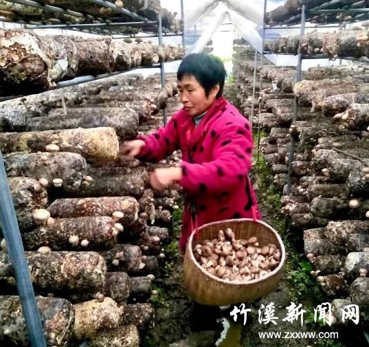 360截图20200513091040690