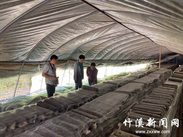 微信图片_20200514144813