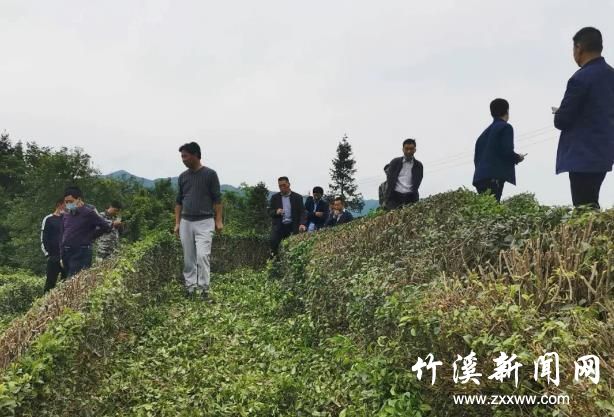 360截图20200527085908292