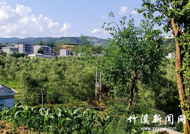 龙家坝村2