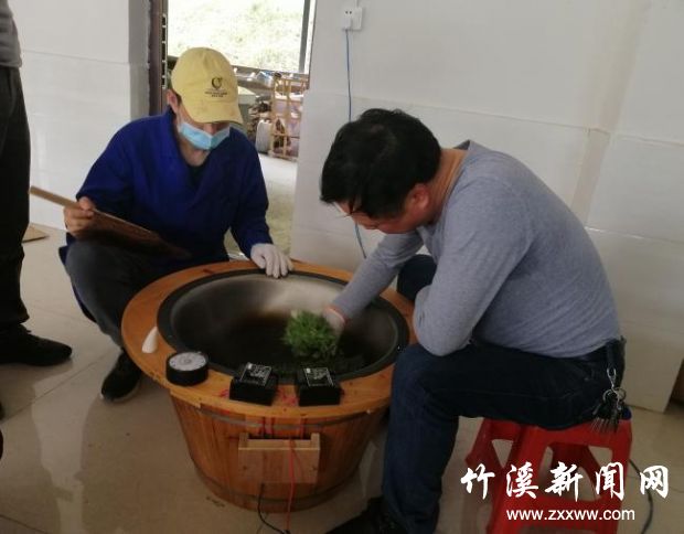 图片5