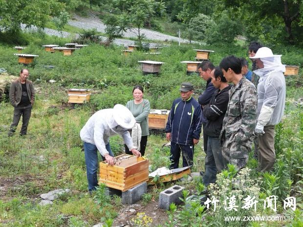 QQ图片20200602124311