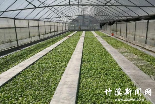 360截图20200609091451851