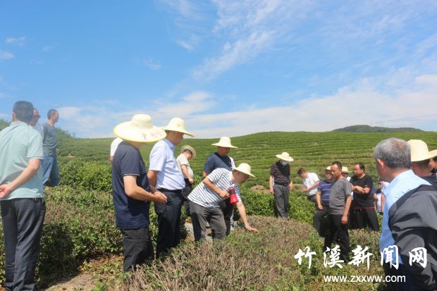 3.支部带领兴产业