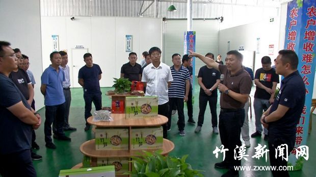 丰溪小香港_副本