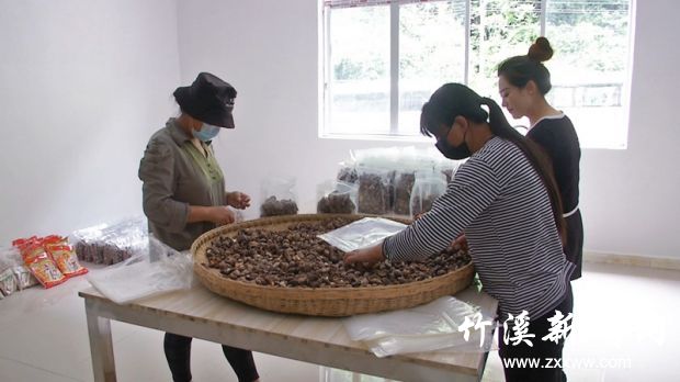 丰溪小香港_副本