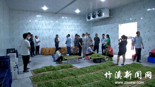 丰溪小香港_副本