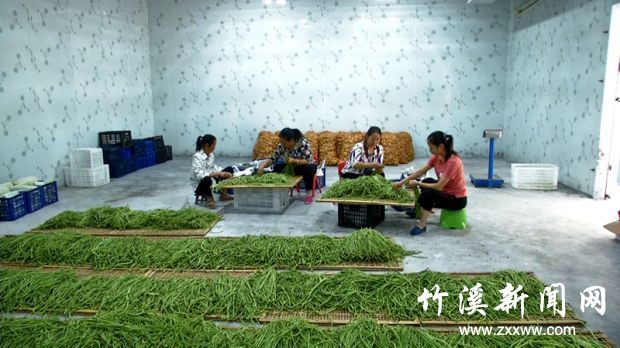 丰溪小香港_副本