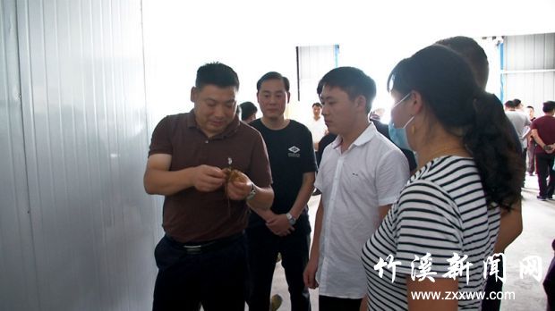 双桥卫生整治_副本