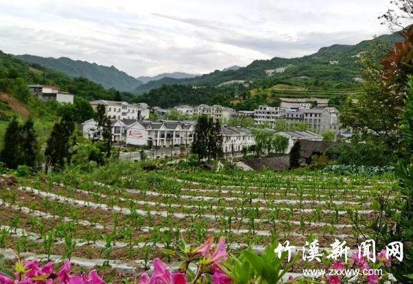 360截图20200723151407030