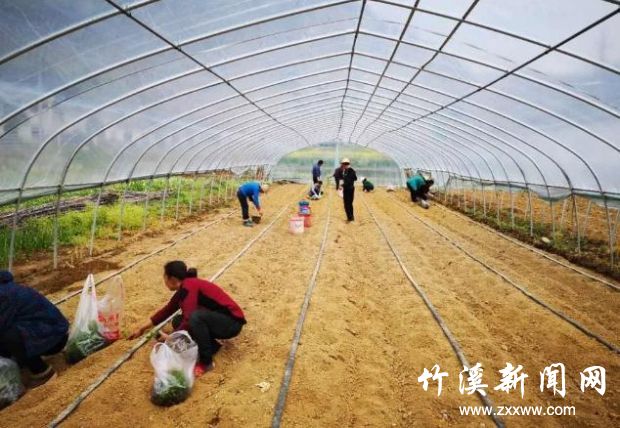 360截图20200807082130671
