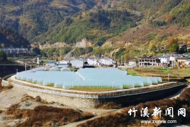 360截图20200807082200522