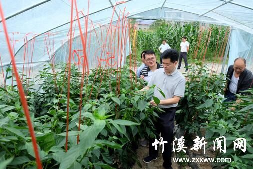 QQ图片20200807210849