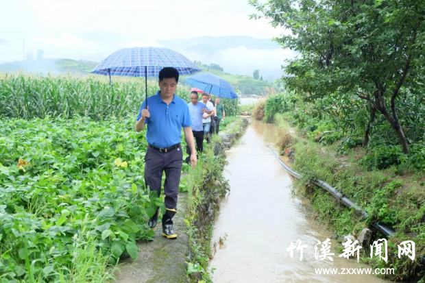QQ图片20200809105400