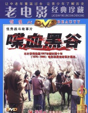 图片5