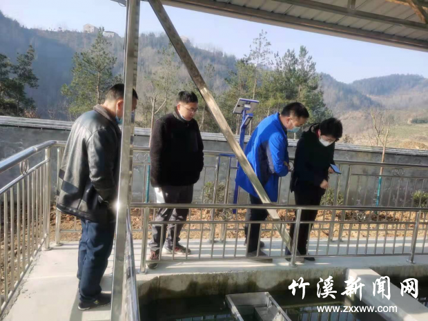 图片4