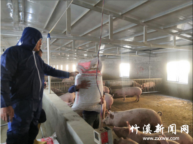 QQ图片20210223114624