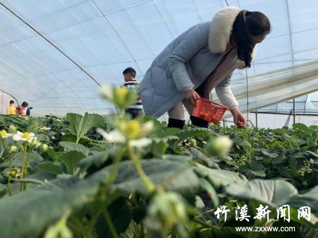 微信图片_20210224084552