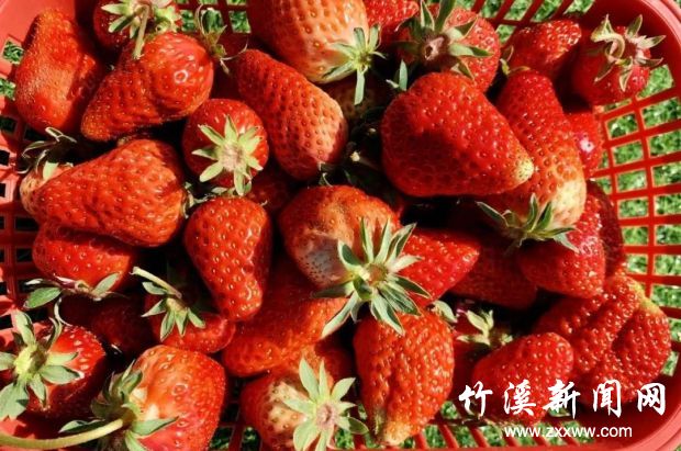 微信图片_20210224084543