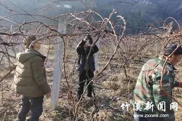 微信图片_20210304090001