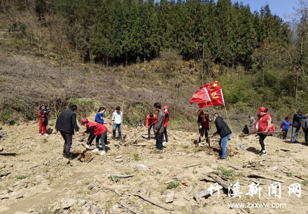 图片1