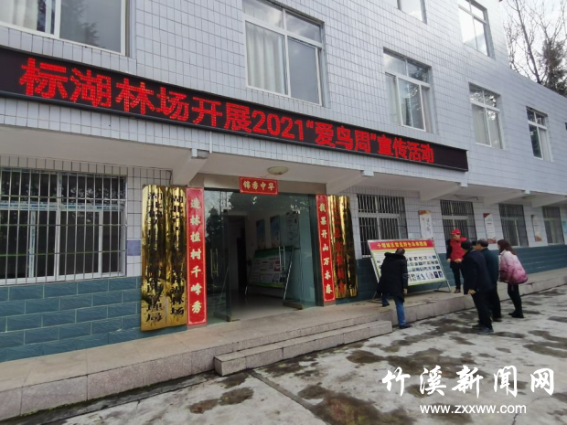 图片3