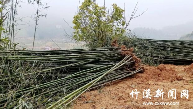 微信图片_20210305083749