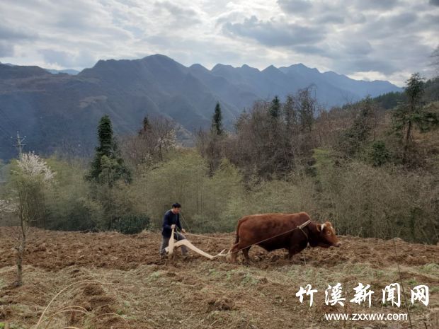 村民正在翻整土地