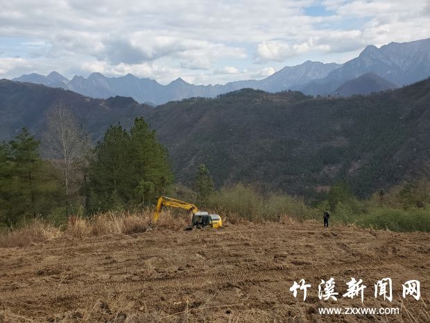 茶叶地正在翻整中