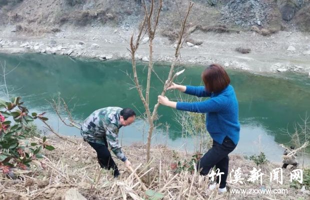 微信图片_20210309085332