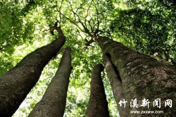 微信图片_20210310090129