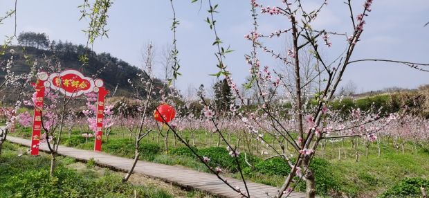 微信图片_20210314112614