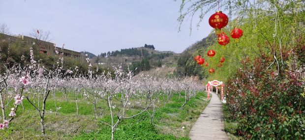 微信图片_20210314134123