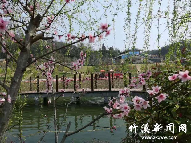 微信图片_20210314134119