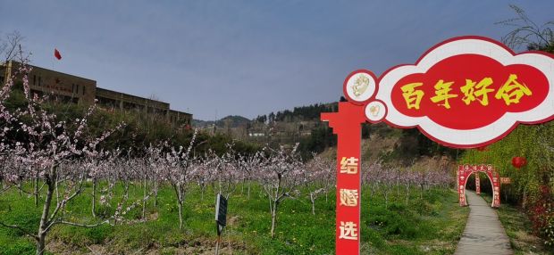 微信图片_20210314134127