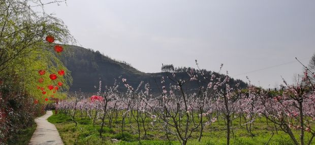 微信图片_20210314134145