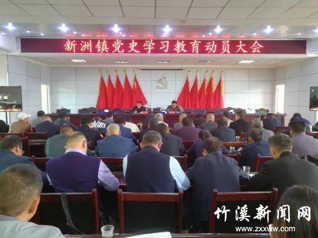 新洲镇召开党史学习教育动员大会