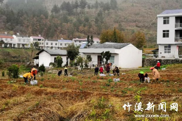 微信图片_20210319091712