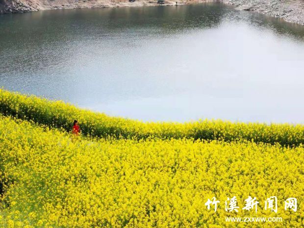 微信图片_20210325153856