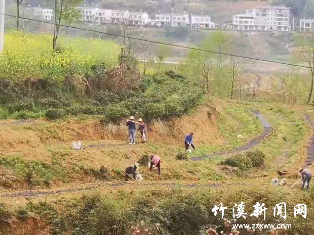 微信图片_20210325170630