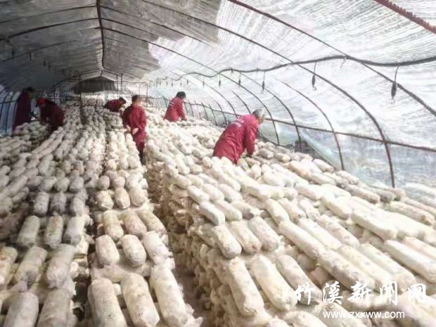 微信图片_20210325170437