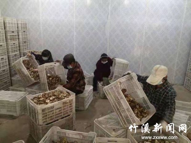 微信图片_20210325170544