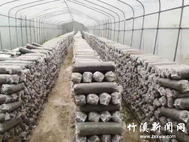 微信图片_20210325170549