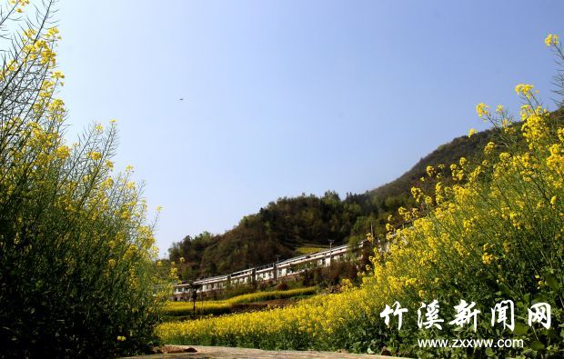 IMG_0101_副本