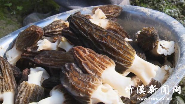 微信图片_20210405114512