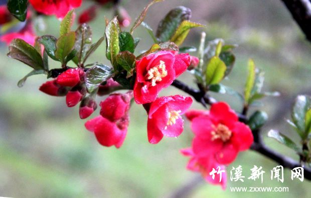 IMG_0180_副本
